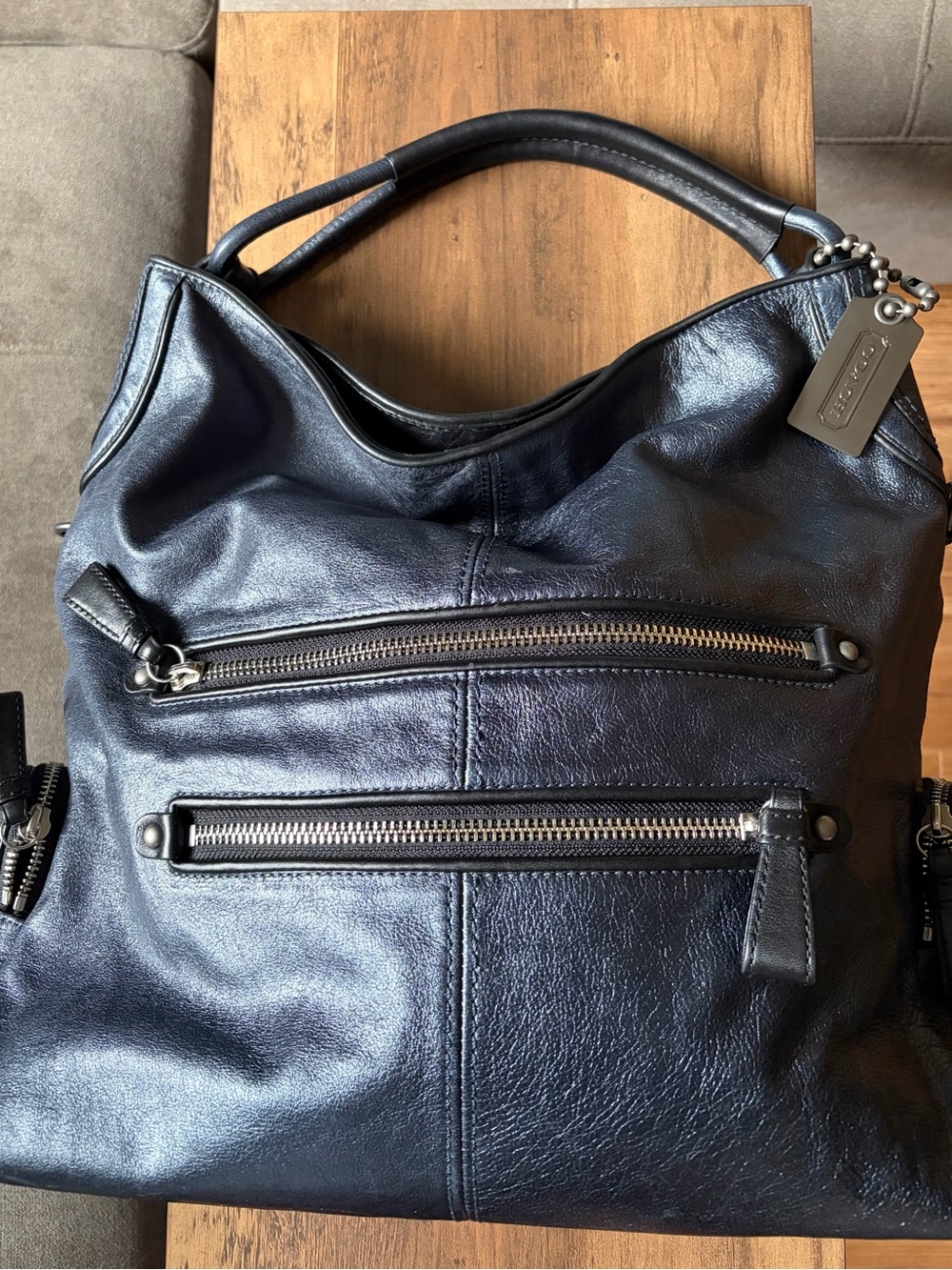 Coach Cambridge Metallic/Pearlized Large Leather Hobo Bag with Zip Pockets
